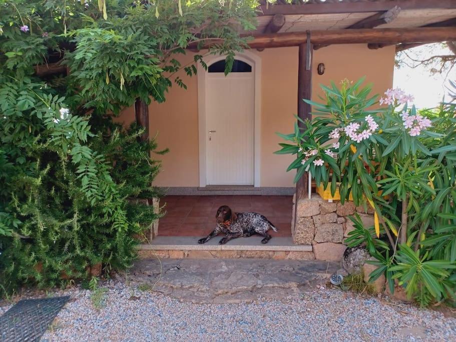 Suite Mirialveda San Pantaleo Ngoại thất bức ảnh